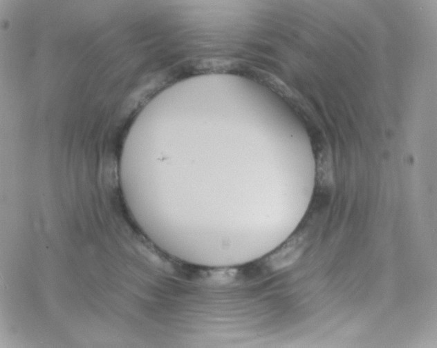 X0000074930474200609291802