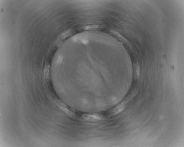 X0000074930475200609291802