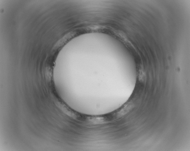 X0000074930476200609291802