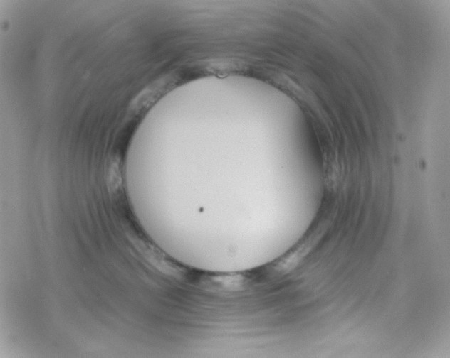 X0000074930478200609291802