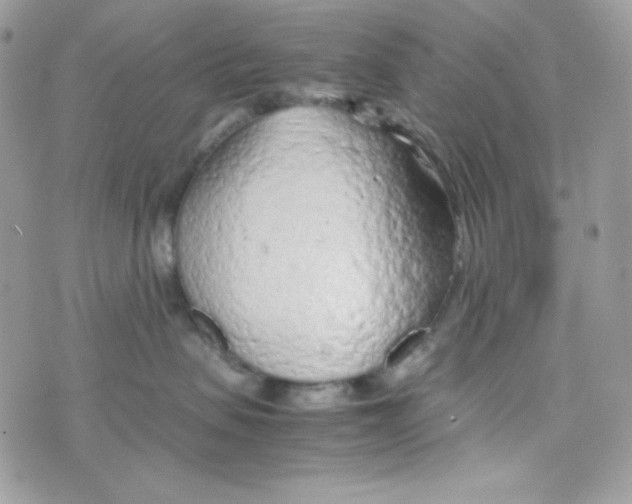 X0000074930479200609291802