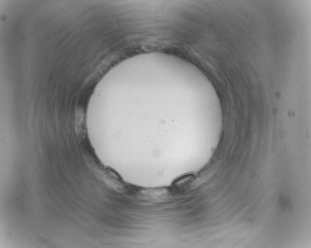 X0000074930480200609291802