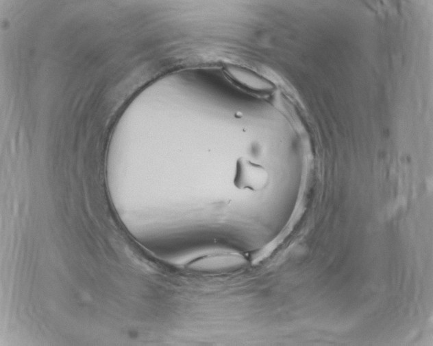 X0000074930481200609291801