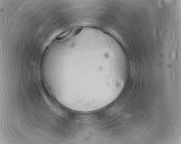 X0000074930482200609291801