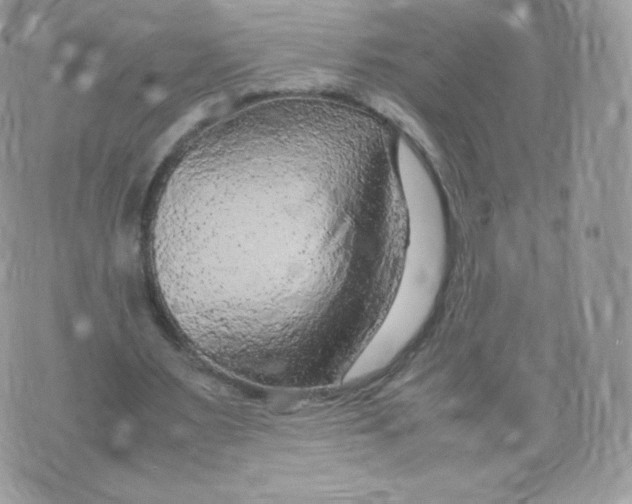 X0000074930483200609291801