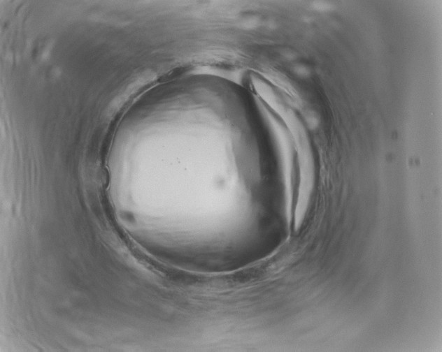 X0000074930485200609291801