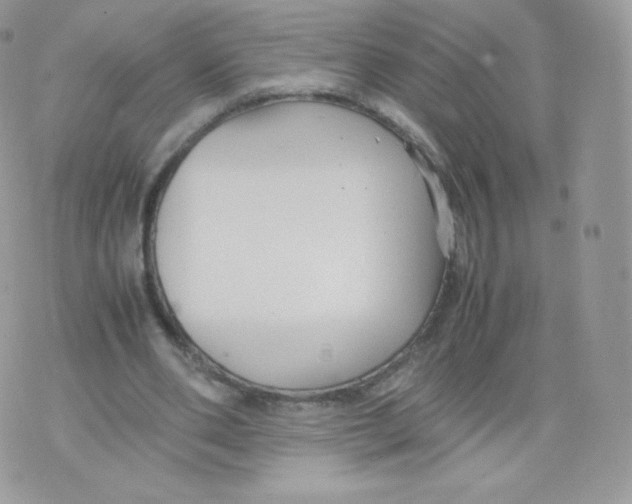 X0000074930486200609291801