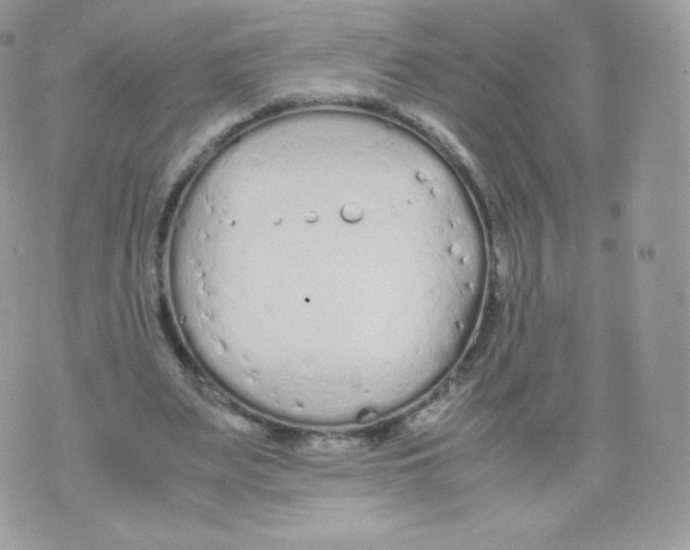 X0000074930487200609291801