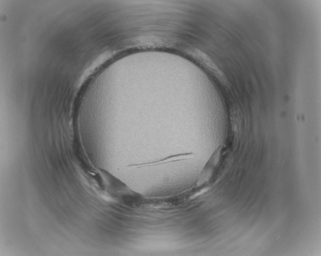 X0000074930488200609291801