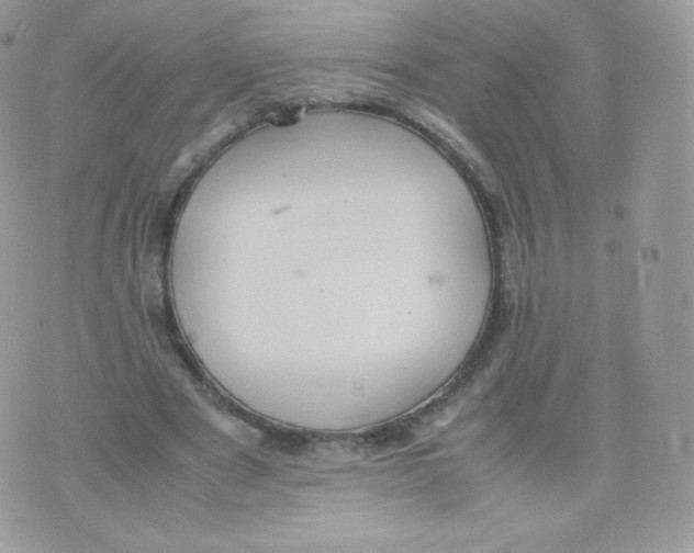 X0000074930489200609291801