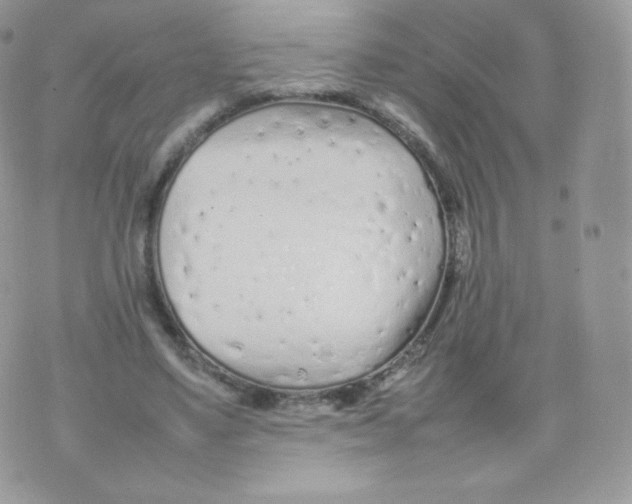 X0000074930491200609291801