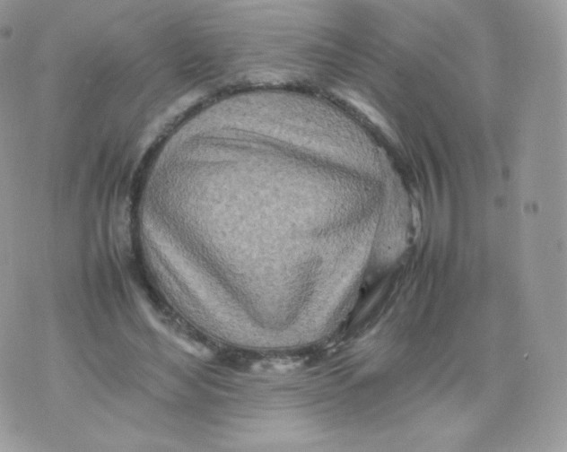 X0000074930492200609291801