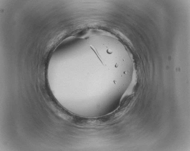 X0000074930493200609291801