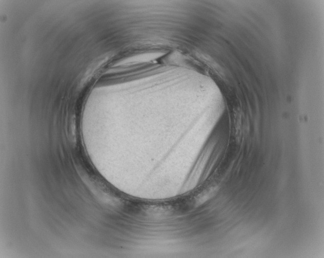 X0000074930494200609291801