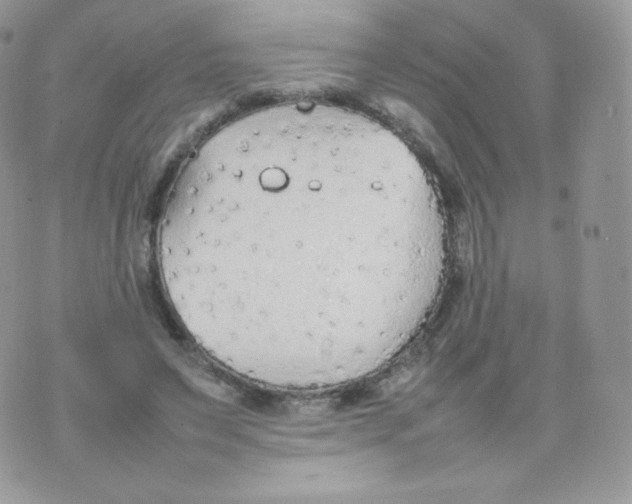 X0000074930495200609291801