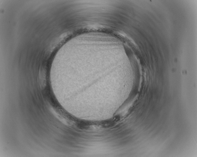 X0000074930496200609291801