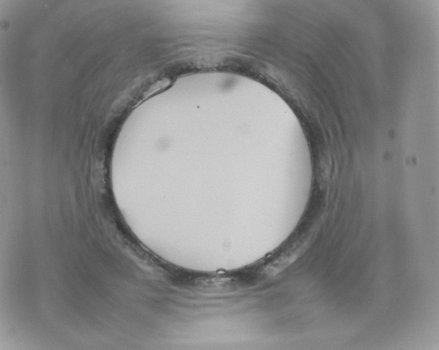 X0000074930497200609291801