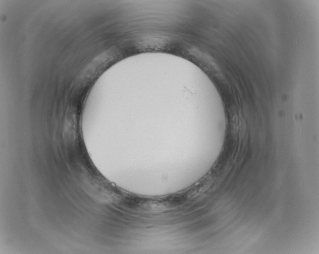 X0000074930498200609291801