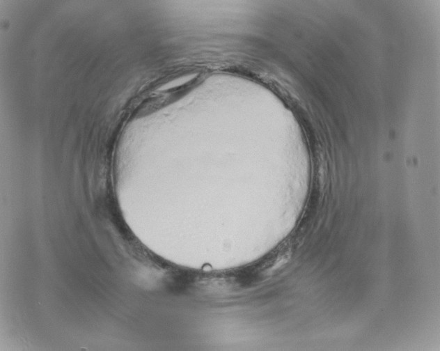 X0000074930499200609291801