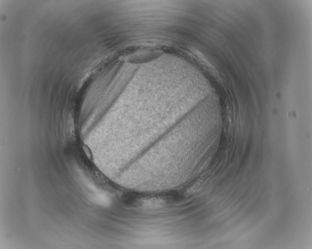 X0000074930500200609291801