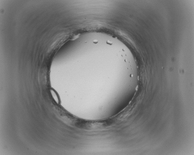 X0000074930501200609291801