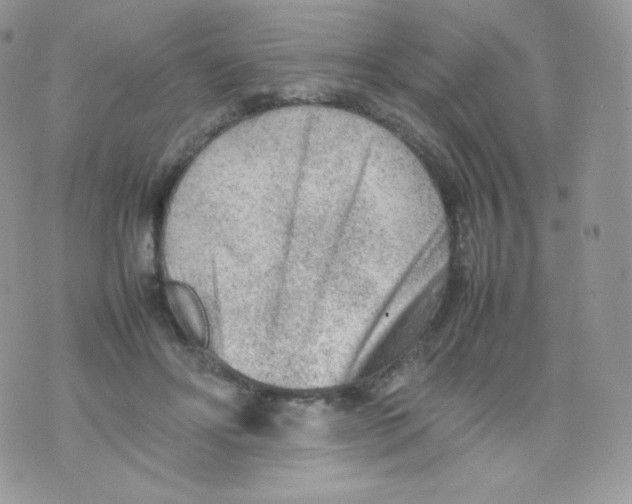 X0000074930502200609291801