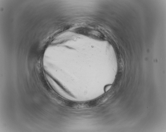 X0000074930503200609291801