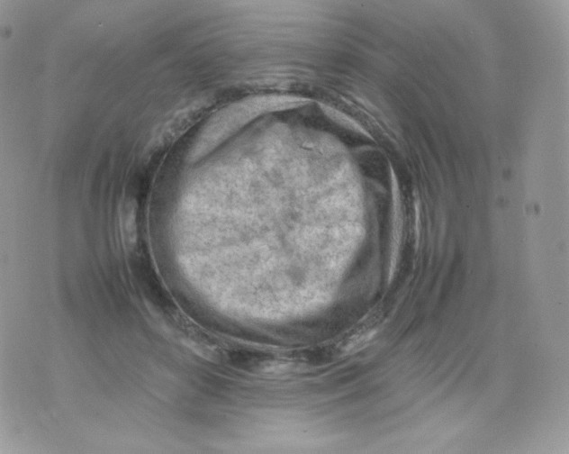 X0000074930504200609291801