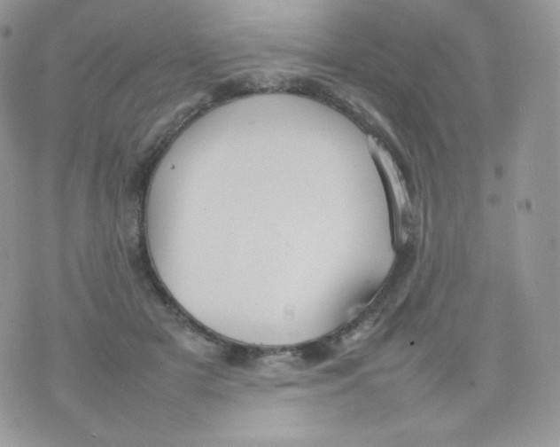 X0000074930505200609291800