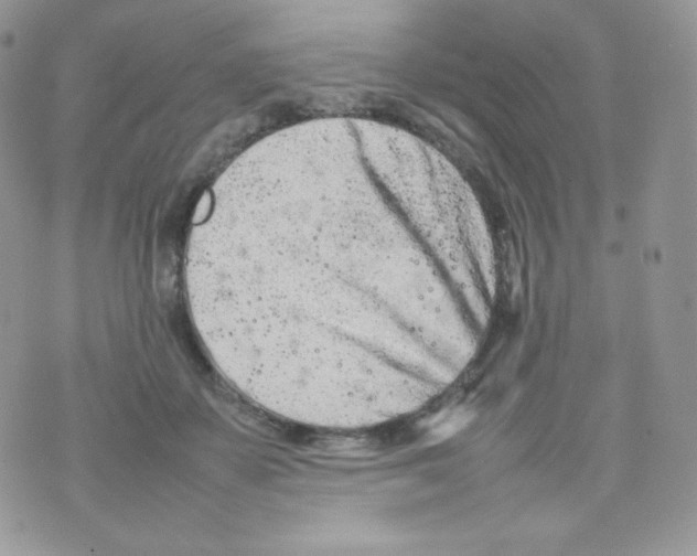 X0000074930507200609291800