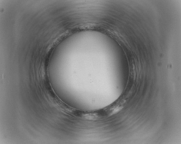 X0000074930508200609291800