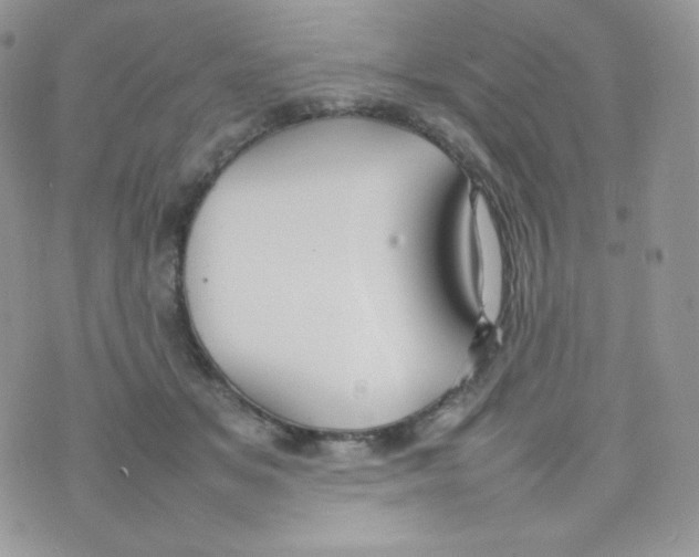 X0000074930509200609291800