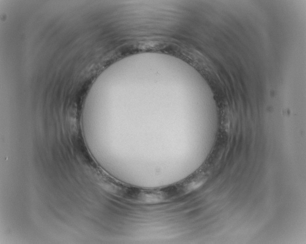 X0000074930510200609291800