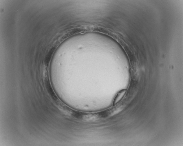 X0000074930511200609291800