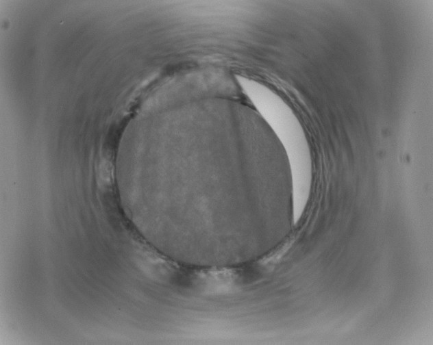 X0000074930517200609291800