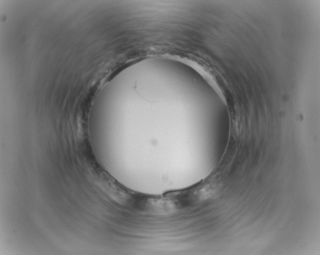 X0000074930520200609291800