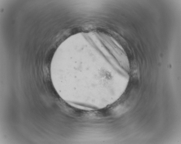 X0000074930523200609291800