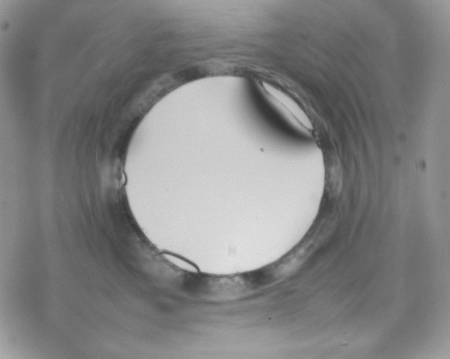 X0000074930525200609291800