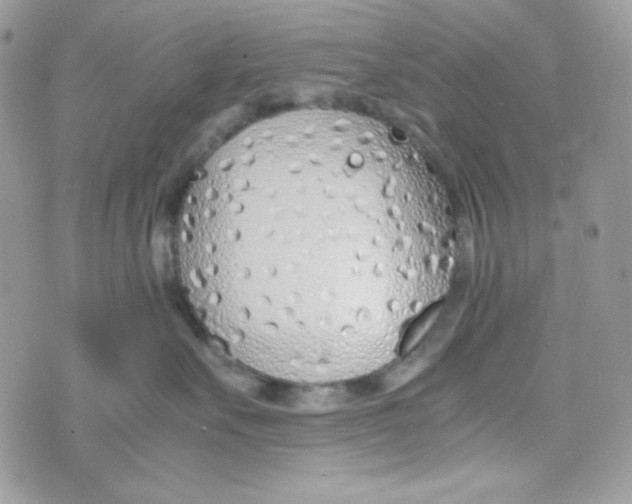 X0000074930527200609291800