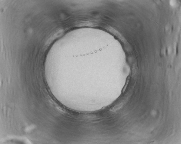 X0000074930529200609291759