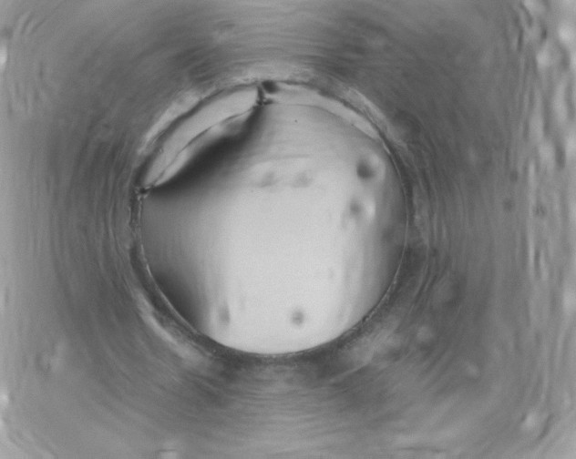 X0000074930530200609291759