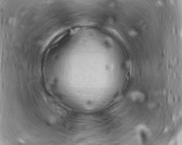 X0000074930531200609291759