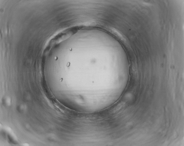 X0000074930532200609291759