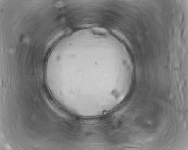 X0000074930533200609291759