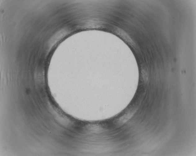 X0000074930534200609291759