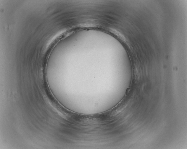 X0000074930535200609291759