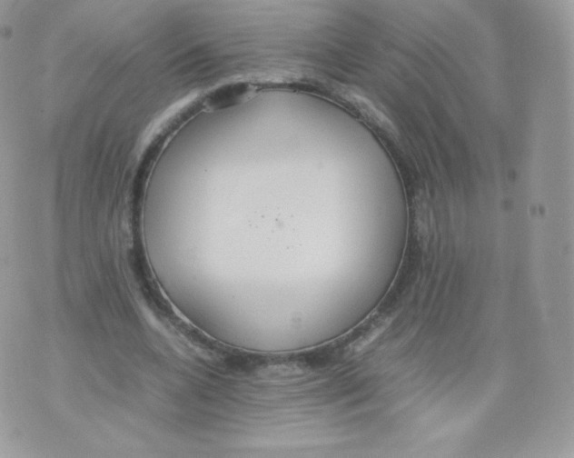 X0000074930536200609291759