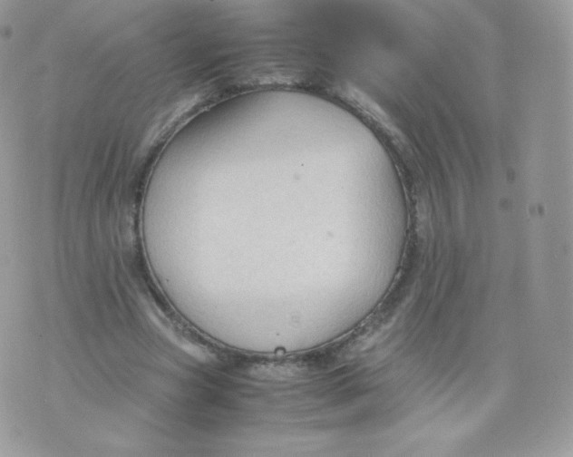 X0000074930537200609291759