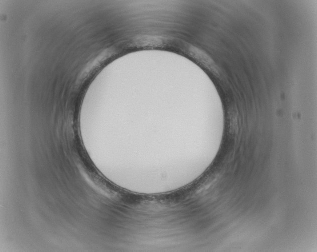 X0000074930538200609291759