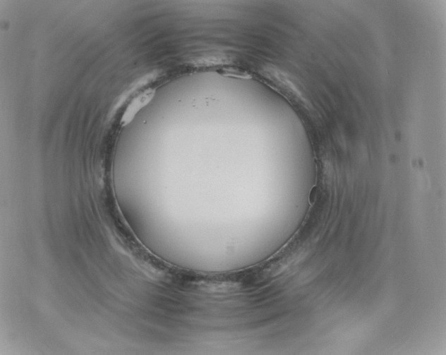 X0000074930539200609291759